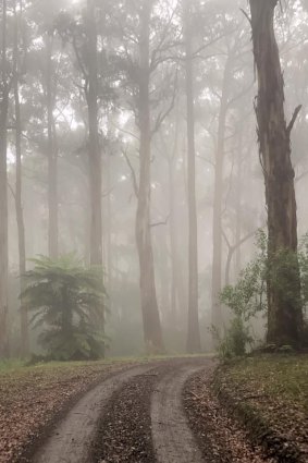 Sharp's Track behind Lorne in the mist.