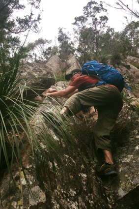 Mr Turner climbing Mount Ernest in Mount Barney National Park. 