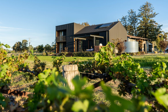 The Black Shed is what it says: a handsome, black Colorbond-clad, two-storey, two-bedroom, modern build overlooking a small plot of vines.