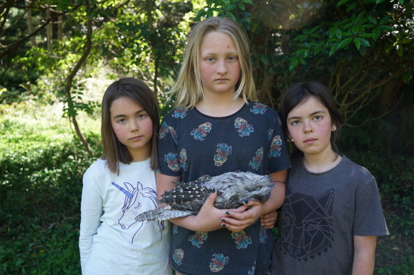 Bon Madden, Millie Schulz and Monty Madden with a dead tawny frogmouth. 