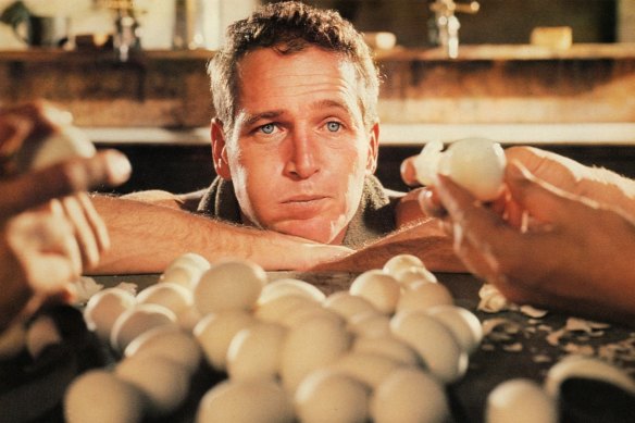 Paul Newman in the 1967 film 'Cool Hand Luke'.