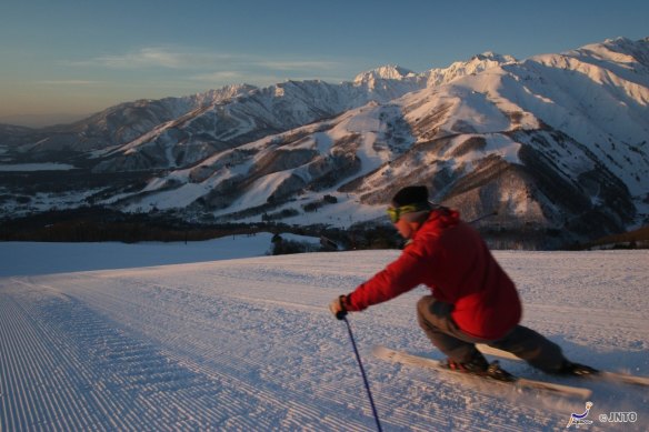 Skiing at Hakuba in Nagano Prefecture.