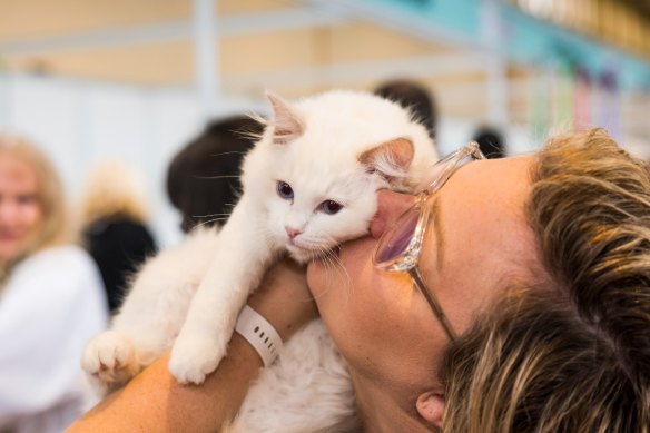 Cat Lovers Festival and Dog Lovers Festival take place over the same weekend at the Brisbane Convention and Exhibition Centre.