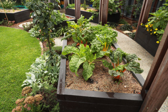 The garden includes beds to grow food, perfect for pizza toppings.