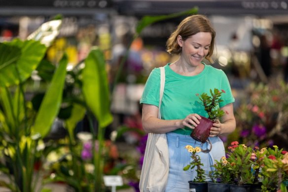 Plantapalooza at the Rocklea Markets this Saturday is an opportunity to stock up on plants and attend gardening workshops.