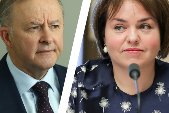 Anthony Albanese has been under pressure to open a formal inquiry into allegations Kimberley Kitching was bullied.