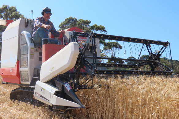 Jason Cotter on the wheat harvester at Tuerong Farm in Victoria. 