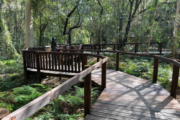 Redlands IndigiScapes Centre has boardwalks through its botanic garden.