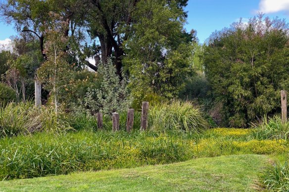 Wetland.