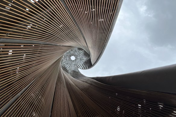 Interior view of the 2012 sculpture Venus Rising by Wolfgang Buttress in Kangaroo Point Park.