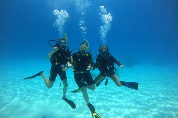 Help gather scientific information on the health of the reef with No Limit Adventures.