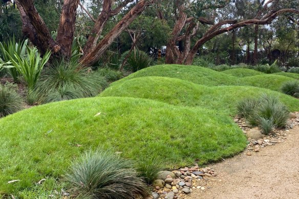 Peter Shaw’s garden features decorations hidden in among the plants.