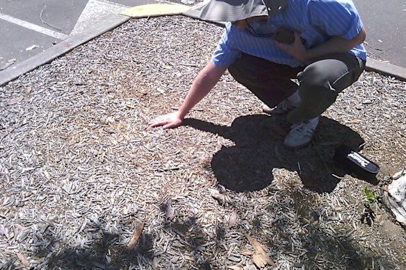 The same image of Penrith Panthers carpark, without the heat map. 