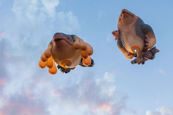Patricia Piccinini’s Skywhalepapa, 2020 and Skywhale, 2013, will launch into the sky above the Sunny Coast.