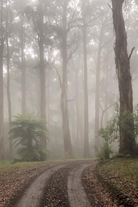 Sharp's Track behind Lorne in the mist.