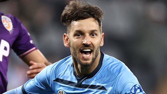 Milos Ninkovic celebrates his opener on Wednesday.