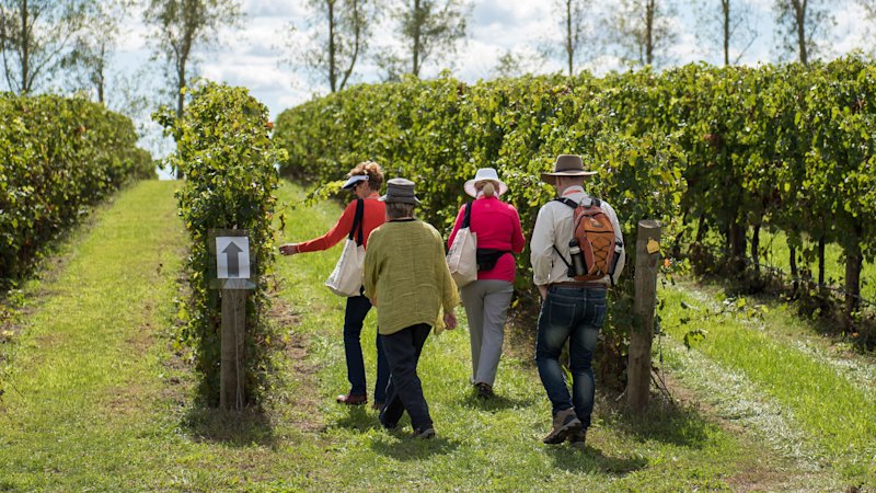 Orange, NSW Things to Do: What to Do on a Three Day Holiday in the ...