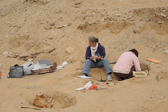 Dr Mary Hartley (left) working on site with Dr Alanah Buck at Saqqara, Egypt, while a local “pariah” dog looks on.