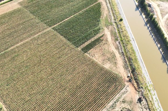 Aerial image of an illicit tobacco farm in regional Victoria.