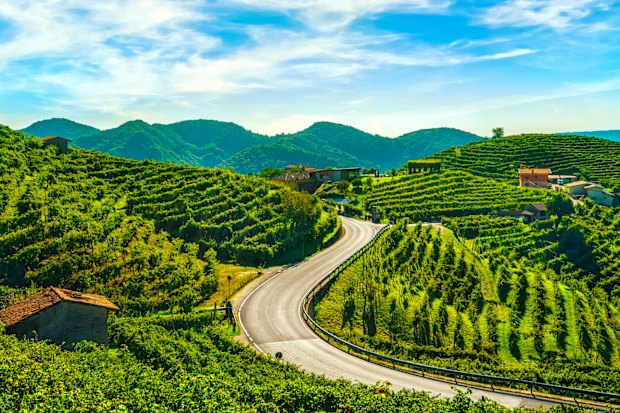 The prosecco hills – Valdobbiadene in the Veneto region.
