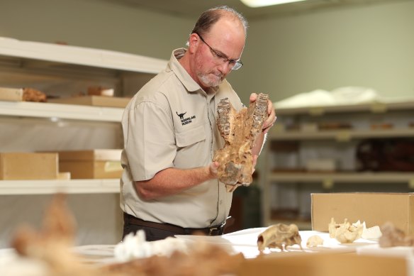Queensland Museum  palaeoecologist Dr Scott Hocknull has reimagined the museum’s permanent dinosaur display. 