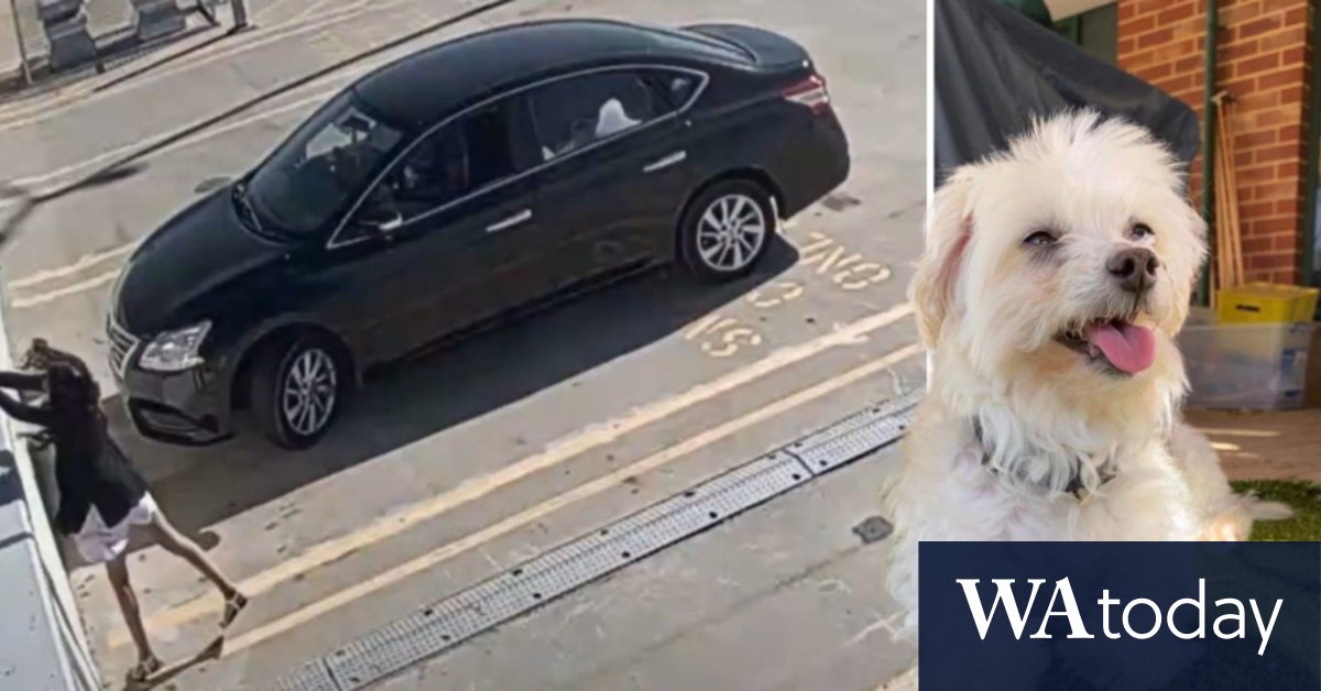 Perth woman Amy Lea Judge jailed for throwing dog off car park roof