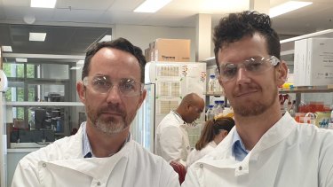 Professor Trent Munro and Dr Keith Chappell in the University of Queensland lab.