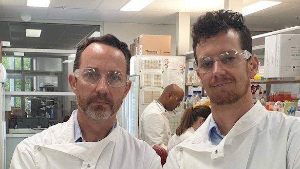 Professor Trent Munro and Dr Keith Chappell in the University of Queensland lab.