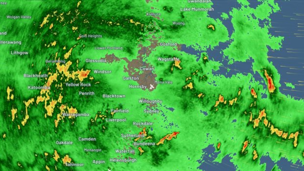 The radar over Sydney, as of 5am AEDT on Friday.