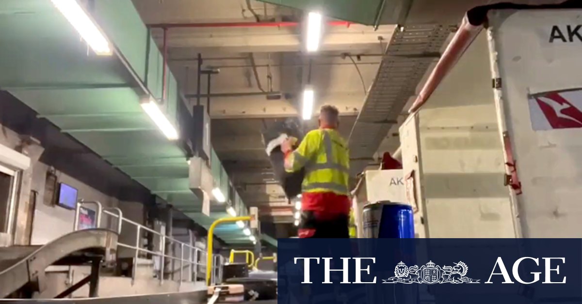 Qantas baggage handlers stood down after vision of them ‘slamming’ luggage emerges - The Age