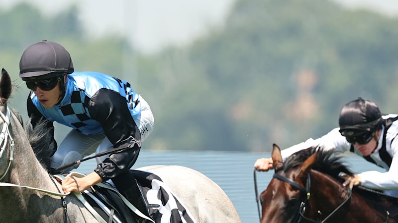 Race-by-race tips and previews for Rosehill on Saturday