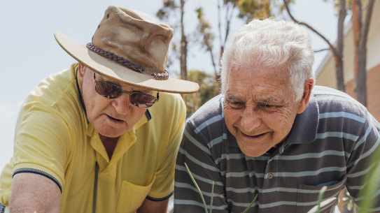Gardening has been found to help connect people with their neighbours.