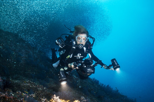 Marine biologist Sylvia Earle, known for her boundary-pushing dives, is supported by Rolex.