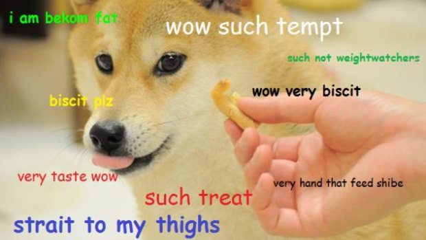 Wow such meme: doge overtook the internet in 2013.