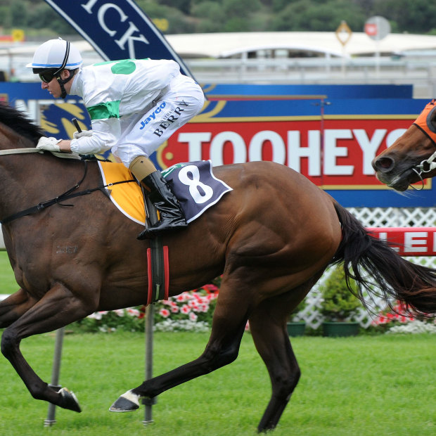 Unordered (in orange) running second at Royal Randwick in 2008.