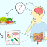 Gut feeling: Research flips relationship between gut health and autism