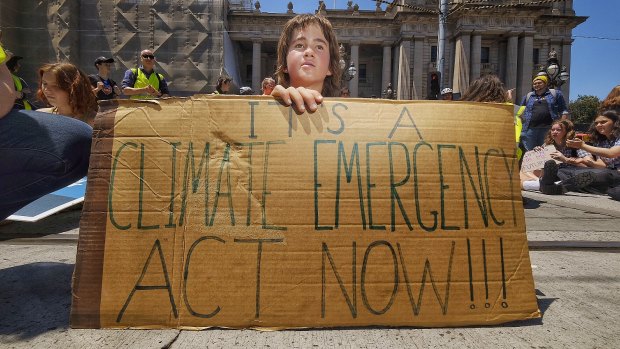 Marco Bellemo, 17, was one of thousands of students who protested the government's inaction on climate change in Melbourne.