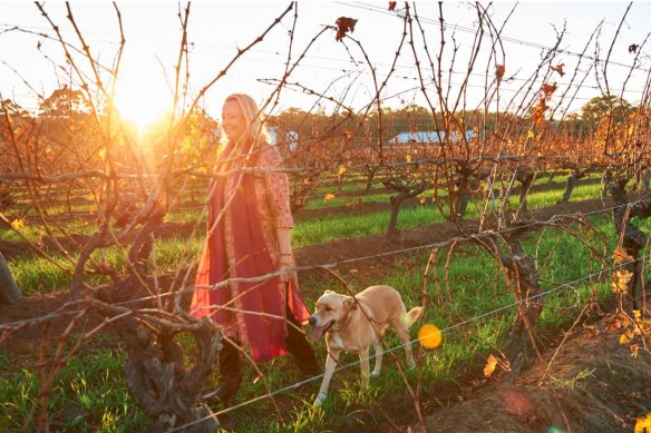 Vanya Cullen, with her dog Solstice, walking through one of the certified biodynamic vineyards at her organic winery Cullen Wines in Wilyabrup, Margaret River.