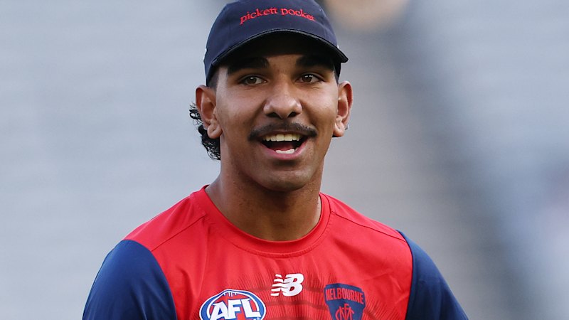 AFL round 11 teams and expert tips: Demons rest one of the Picketts for Bulldogs clash