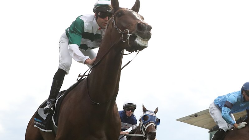 Future History out to extend streak in Australia Day Cup