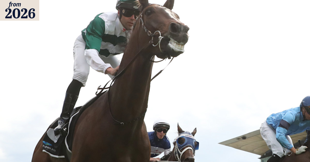 Future History out to extend streak in Australia Day Cup