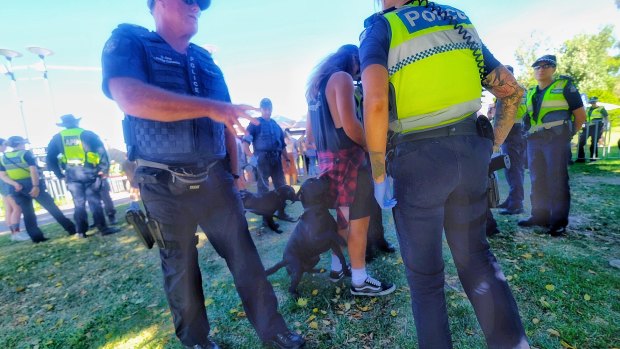 Sniffer dogs were brought to the festival by police. 