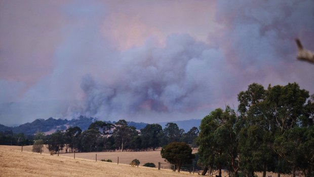 Huge plumes of smoke from the Bunyip fire, near Gembrook.