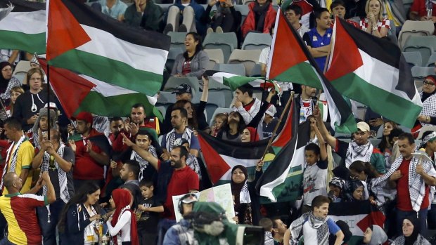 In the spirit: Palestinian fans during their team's clash at the 2015 AFC Asian Cup against Iraq at Canberra Stadium.