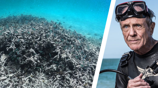 Charlie Veron, the "Godfather of Coral", right, and dead Staghorn coral. Photo: Paul Jones/Wolter Peeters.