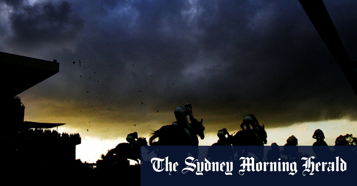 Race-by-race preview and tips for Nowra on Sunday