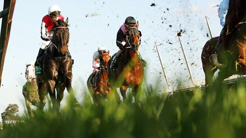 Race-by-race preview and tips for Sunday’s Gilgandra meeting