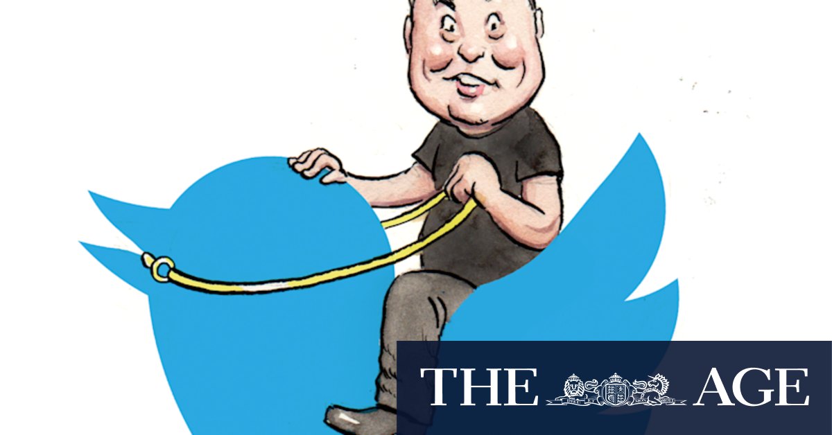 Tweet silence as Elon Musk swoops on Twitter - Vimarsana News