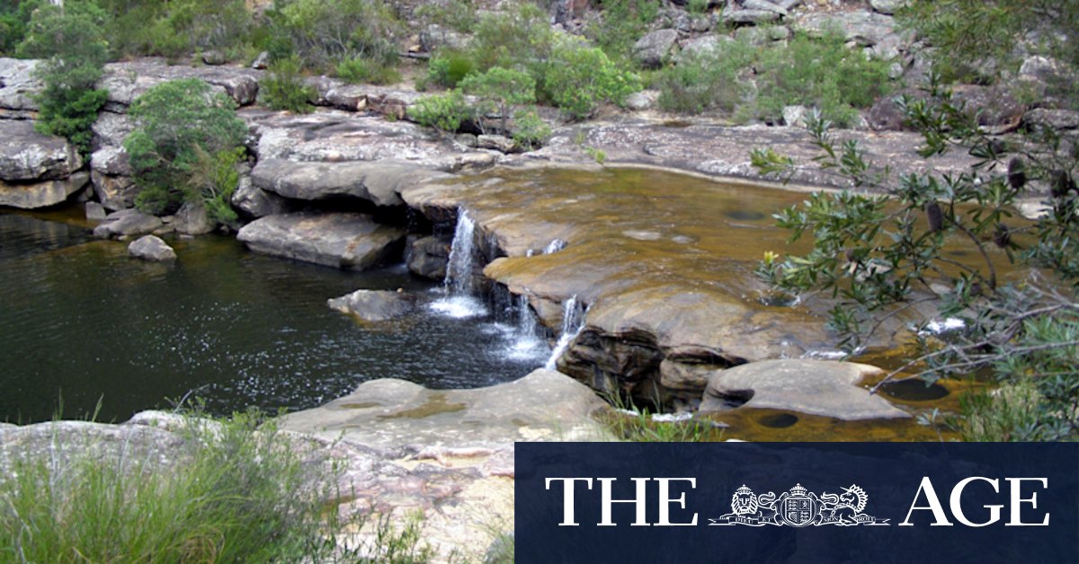 Georges River: Search under way for teenage boy missing at Sydney swimming spot - Vimarsana News