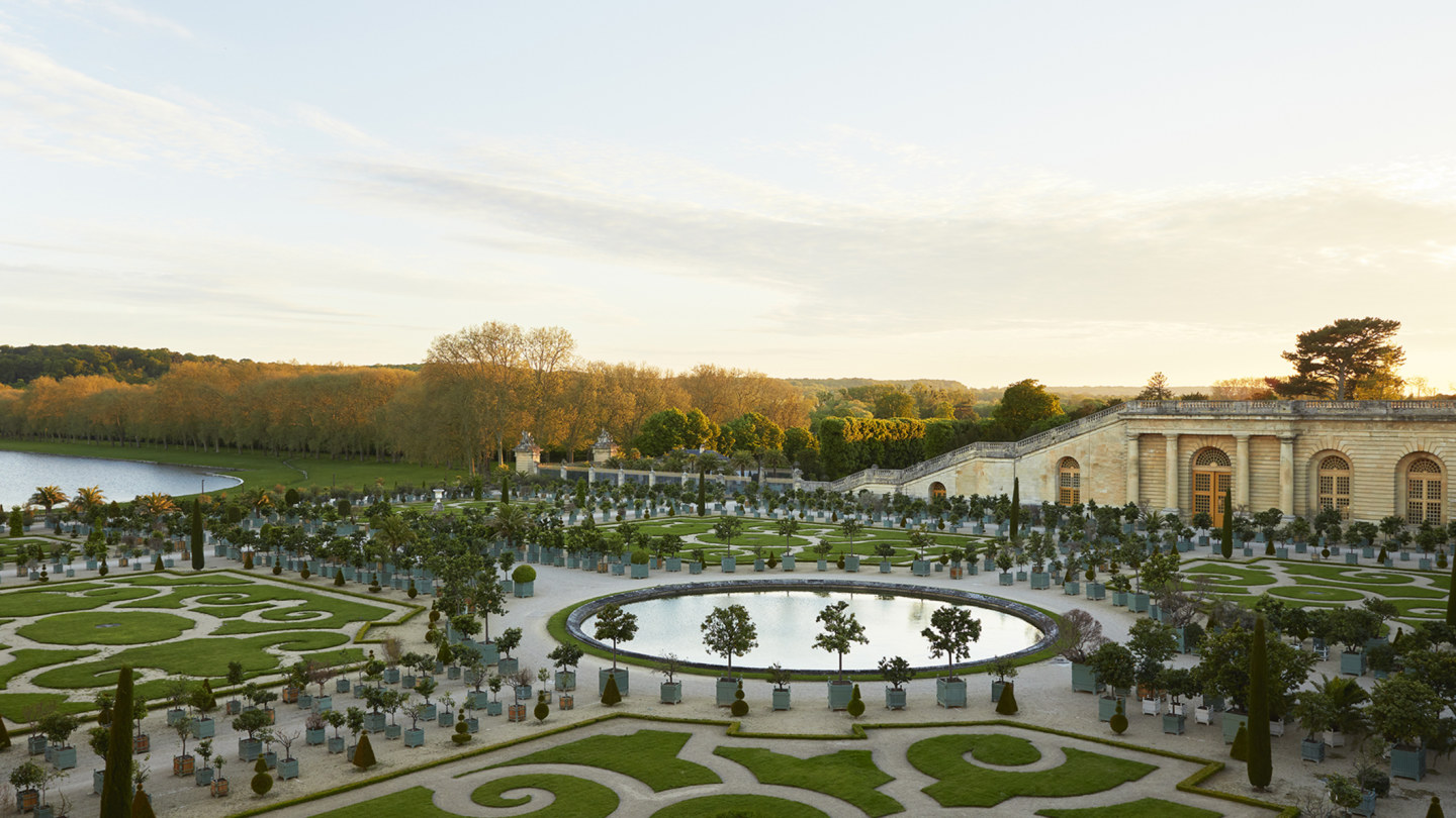  Sun King T-Shirt Palace of Versailles Louis XIV France